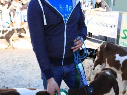 2019_ausstellung polling_730